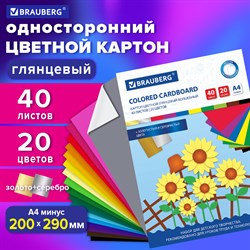 Картон цветной А4 МЕЛОВАННЫЙ ВОЛШЕБНЫЙ, 40 листов, 20 цветов, в папке, BRAUBERG, 200х290 мм, 113545 101010113545 - фото 10002054