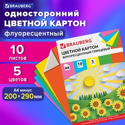 Картон цветной А4 МЕЛОВАННЫЙ (глянцевый), ФЛУОРЕСЦЕНТНЫЙ, 10 листов 5 цветов, в папке, BRAUBERG, 200х290 мм, "Лето", 129918 101010129918 - фото 10002586