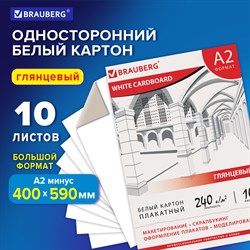 Картон белый БОЛЬШОГО ФОРМАТА, А2 МЕЛОВАННЫЙ (глянцевый), 10 листов, в папке, BRAUBERG, 400х590 мм, 124764 101010124764 - фото 10002680