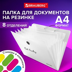 Папка-органайзер на резинке 8 отделений, BRAUBERG "Glassy", А4, прозрачная, 271928 101010271928 - фото 11451032