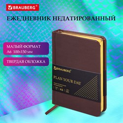 Ежедневник недатированный МАЛЫЙ ФОРМАТ А6 (100х150 мм) BRAUBERG "Iguana", кожзам, 160 л., темно-коричневый, 125105 101010125105 - фото 11458147