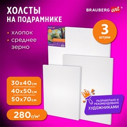 Холсты на подрамнике НАБОР 3 шт. (30х40 см, 40х50 см, 50х70 см), 280 г/м2, грунт, хлопок, BRAUBERG ART, 192270 - фото 11530880