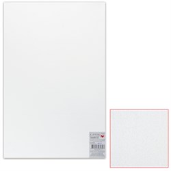 Картон белый грунтованный для живописи, 50х80 см, двусторонний, толщина 2 мм, акриловый грунт - фото 11531048