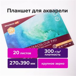 Папка для акварели/планшет, 300 г/м2, 270х390 мм, склейка, крупное зерно, 20 л., BRAUBERG ART PREMIERE, 113250 101010113250 - фото 9985990