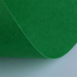 Бумага (картон) для творчества, 1 лист, FABRIANO "Elle Erre", А2+, 500х700 мм, 220 г/м2, темно-зеленый, 42450728 - фото 9986061