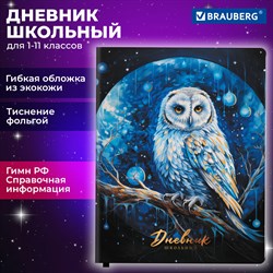 Дневник 1-11 класс 48 л., кожзам (гибкая), печать, фольга, BRAUBERG, "Совушка", 106919 101010106919 - фото 9989798