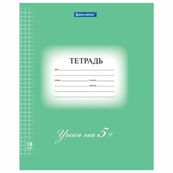 Тетрадь 18 л. BRAUBERG ЭКО "5-КА", клетка, обложка плотная мелованная бумага, ЗЕЛЕНАЯ, 402987 101010402987 - фото 9992460