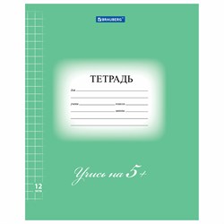 Тетрадь 12 л. BRAUBERG ЭКО "5-КА", крупная клетка, обложка плотная мелованная бумага, ЗЕЛЕНАЯ, 104761 101010104761 - фото 9992975