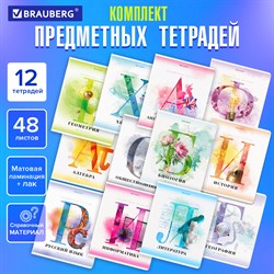 Тетради предметные, КОМПЛЕКТ 12 ПРЕДМЕТОВ, 48 л., матовая ламинация, лак, BRAUBERG, "CALM", 404844 101010404844 - фото 9998536