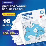 Картон белый А4 МЕЛОВАННЫЙ (белый оборот), 16 листов, в папке, BRAUBERG, 200х290 мм, 113561 101010113561