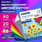 Картон цветной А4 МЕЛОВАННЫЙ ВОЛШЕБНЫЙ, 40 листов, 20 цветов, в папке, BRAUBERG, 200х290 мм, 113545 101010113545