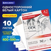 Картон белый БОЛЬШОГО ФОРМАТА, А2 МЕЛОВАННЫЙ (глянцевый), 10 листов, в папке, BRAUBERG, 400х590 мм, 124764 101010124764