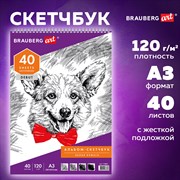 Скетчбук, белая бумага 120 г/м2, 297х410 мм, 40 л., гребень, жёсткая подложка, BRAUBERG ART DEBUT, 110981 101010110981