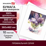 Бумага для акварели 300 г/м2 360x460 мм среднее зерно, 10 листов, BRAUBERG ART PREMIERE, 113228