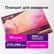 Папка для акварели/планшет, 300 г/м2, 270х390 мм, склейка, мелкое зерно, 20 л., BRAUBERG ART PREMIERE, 113249 101010113249