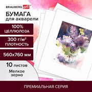 Бумага для акварели 300 г/м2 560x760 мм мелкое зерно, 10 листов, BRAUBERG ART PREMIERE, 113237 101010113237