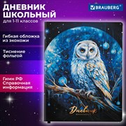 Дневник 1-11 класс 48 л., кожзам (гибкая), печать, фольга, BRAUBERG, "Совушка", 106919 101010106919