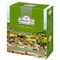 Чай AHMAD (Ахмад) "Jasmine Green Tea" зелёный с жасмином, 100 пакетиков в конвертах по 2 г, 475i-08 - фото 10724974