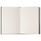 Скетчбук, слоновая кость 100 г/м2, 148х210 мм, 110 л., книжный твердый переплет, BRAUBERG ART CLASSIC, 128958 - фото 11573697