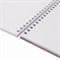 Скетчбук, белая бумага 100 г/м2, 205х290 мм, 50 л., гребень, жёсткая подложка, BRAUBERG ART DEBUT, 110983 - фото 11573767