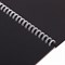 Скетчбук, черная бумага 120 г/м2, 195х300 мм, 30 л., гребень, SoftTouch, выборочный лак, "Авокадо", 97644 - фото 11574200