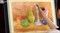Пастель мягкая художественная KOH-I-NOOR "Toison D'or", 24 цвета, круглое сечение, 8514024005KS - фото 11577444