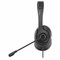 Наушники с микрофоном (гарнитура) A4TECH Fstyler FH100U, проводные, 2 м, USB, черные, 1774509 - фото 11579848