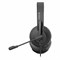 Наушники с микрофоном (гарнитура) A4TECH HU-10, проводные, 2 м, USB, черные, 1611400 - фото 11579877