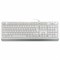 Клавиатура проводная A4TECH Fstyler FK10, USB, 104 кнопки, белая, 1147536 - фото 11580479