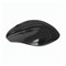 Мышь беспроводная DEFENDER Accura MM-295, 5 кнопок + 1 колесо-кнопка, оптическая, черная, 52295 - фото 11581326