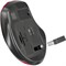 Мышь беспроводная DEFENDER Prime MB-053, USB, 5 кнопок + 1 колесо-кнопка, оптическая, красная, 52052 - фото 11581361