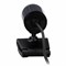 Веб-камера A4TECH PK-910H, 2 Мп, микрофон, USB 2.0, регулируемый крепеж, черная, 695255 - фото 11581724