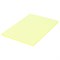 Бумага цветная BRAUBERG, А4, 80 г/м2, 100 л., пастель, желтая, для офисной техники, 112446 - фото 9978135