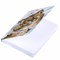 Скетчбук, белая бумага 120 г/м2, 145х203 мм, 80 л., резинка, твердый, BRAUBERG ART DEBUT "Львёнок", 114585 - фото 9983660