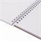 Скетчбук, белая бумага 100 г/м2, 205х290 мм, 50 л., гребень, жёсткая подложка, BRAUBERG ART DEBUT, 110983 - фото 9984994